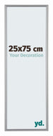 Annecy Kunststoff Bilderrahmen 25x75cm Silber Vorne Messe | Yourdecoration.at