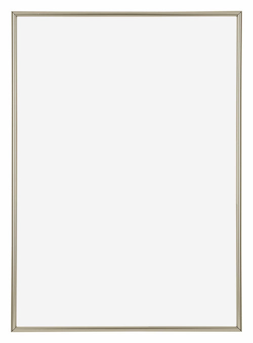 Annecy Kunststoff Bilderrahmen 42x59 4cm A2 Champagner Vorne | Yourdecoration.at