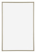 Annecy Kunststoff Bilderrahmen 62x93cm Champagner Vorne | Yourdecoration.at