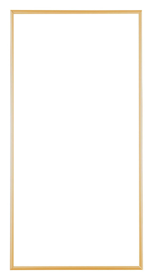 Austin Aluminium Bilderrahmen 20x40cm Gold Vintage Vorne | Yourdecoration.at