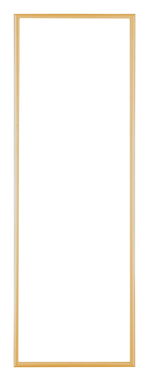 Austin Aluminium Bilderrahmen 20x60cm Gold Vintage Vorne | Yourdecoration.at