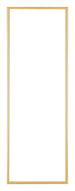 Austin Aluminium Bilderrahmen 20x60cm Gold Vintage Vorne | Yourdecoration.at