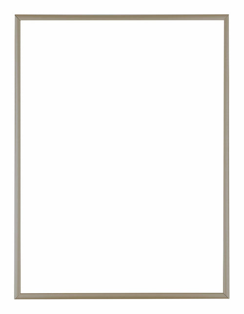 Austin Aluminium Bilderrahmen 30x40cm Champagner Vorne | Yourdecoration.at