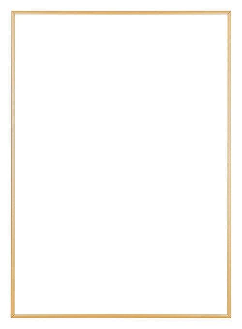Austin Aluminium Bilderrahmen 59 4x84cm A1 Gold Vintage Vorne | Yourdecoration.at
