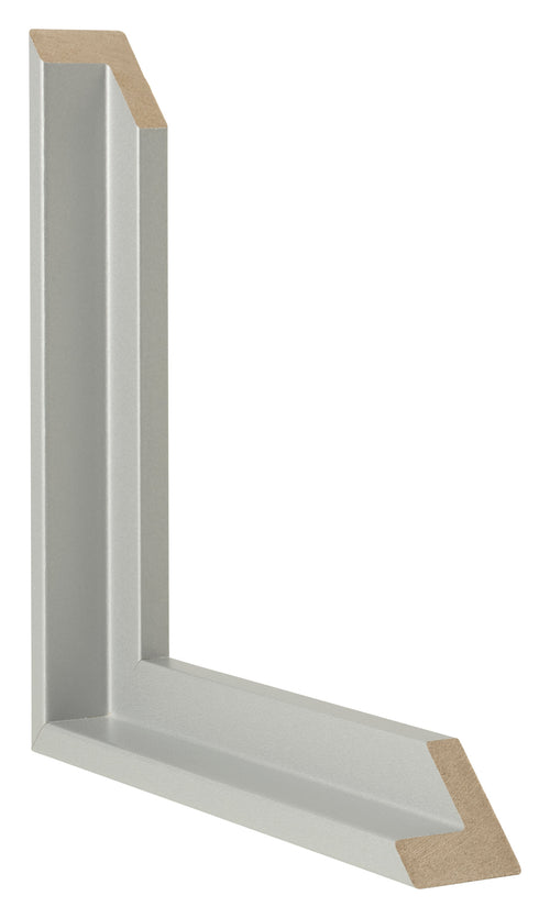Lyon MDF Schattenfugenrahmen Silber Matt Querschnitte | Yourdecoration.at