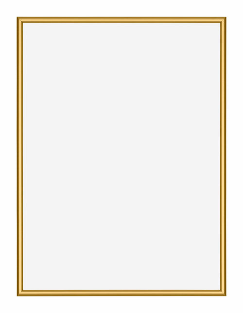 New York Aluminium Bilderrahmen 30x40cm Gold Glanz Vorne | Yourdecoration.at