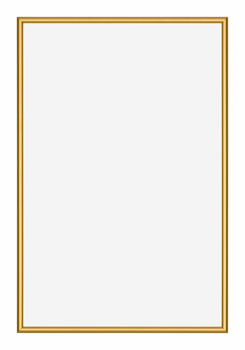 New York Aluminium Bilderrahmen 40x60cm Gold Glanz Vorne | Yourdecoration.at