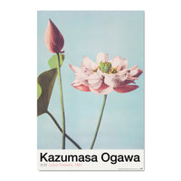 Grupo Erik Gpe5630 Poster Lotus Flowers By K Ogawa | Yourdecoration.at