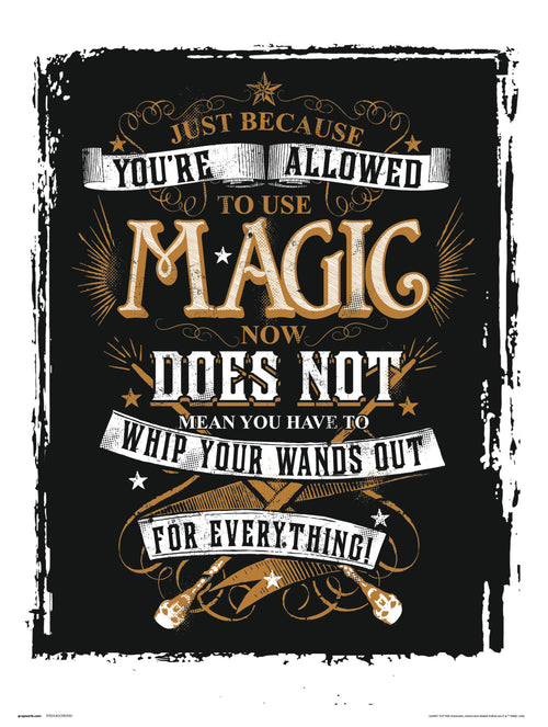 Grupo Erik Harry Potter Magic Kunstdruck 30X40cm | Yourdecoration.at
