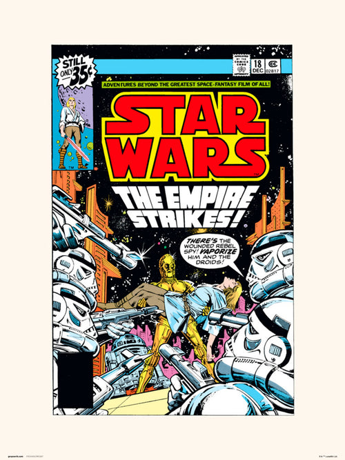 Grupo Erik Star Wars 18 The Empire Strikes Kunstdruck 30X40cm | Yourdecoration.at