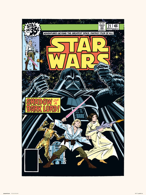 Grupo Erik Star Wars 21 Shadow Of A Dark Lord Kunstdruck 30X40cm | Yourdecoration.at