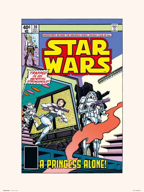 Grupo Erik Star Wars 30 A Princess Alone Kunstdruck 30X40cm | Yourdecoration.at