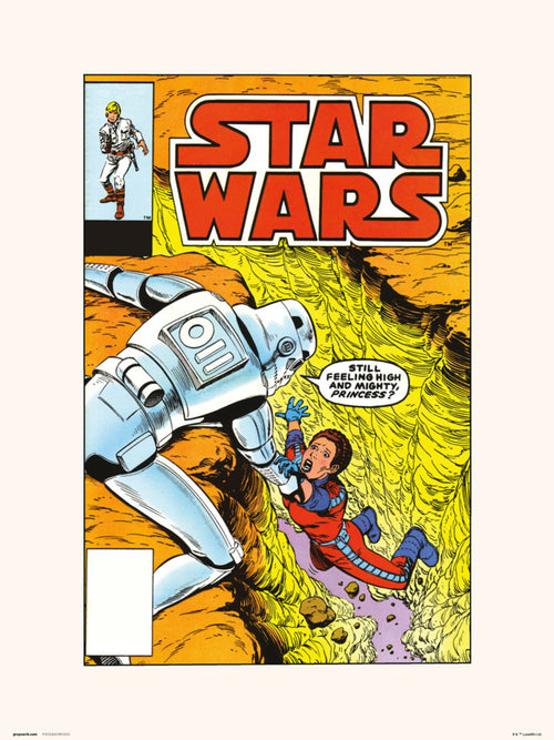 Grupo Erik Star Wars 86 The Alderaan Factor Kunstdruck 30X40cm | Yourdecoration.at