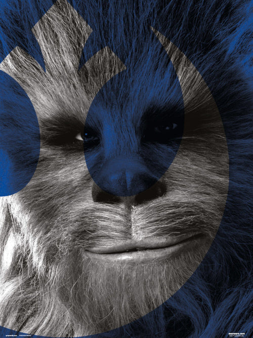 Grupo Erik Star Wars Episode Ix Chewbacca Kunstdruck 30X40cm | Yourdecoration.at