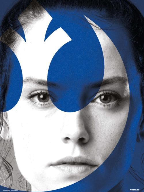 Grupo Erik Star Wars Episode Ix Rey Kunstdruck 30X40cm | Yourdecoration.at