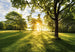 Komar Vlies Fototapete 8 743 Golden Moment | Yourdecoration.at