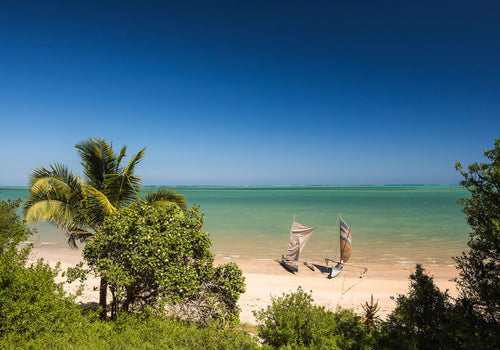 Komar Vlies Fototapete Iangx8 003 Madagascar Hideout | Yourdecoration.at