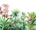 Komar Vlies Fototapete Iax6 0007 Terrain | Yourdecoration.at