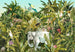 Komar Vlies Fototapete Iax8 0002 Jungle Expedition | Yourdecoration.at