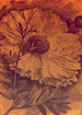 Komar Vlies Fototapete Inx4 031 Harvest | Yourdecoration.at