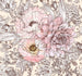 Komar Vlies Fototapete Inx6 001 Allegra | Yourdecoration.at