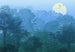 Komar Vlies Fototapete Inx8 052 Deep In The Jungle | Yourdecoration.at