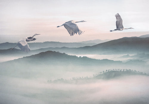 Komar Vlies Fototapete Inx8 083 Mystic Cranes | Yourdecoration.at