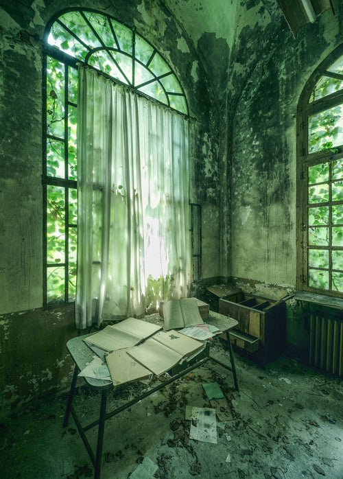 Komar Vlies Fototapete Shx4 145 Stanza Verde | Yourdecoration.at
