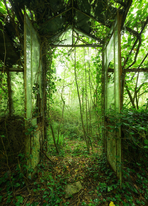 Komar Vlies Fototapete Shx4 158 Greenhouse | Yourdecoration.at