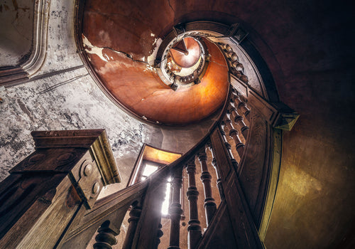 Komar Vlies Fototapete Shx8 165 Oak Spiral | Yourdecoration.at