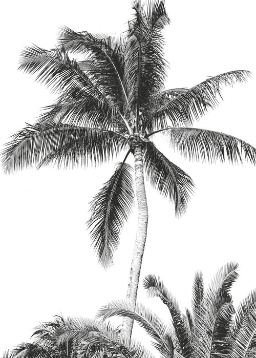 Komar Vlies Fototapete Iax4 0011 Retro Palm | Yourdecoration.at
