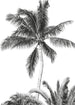 Komar Vlies Fototapete Iax4 0011 Retro Palm | Yourdecoration.at