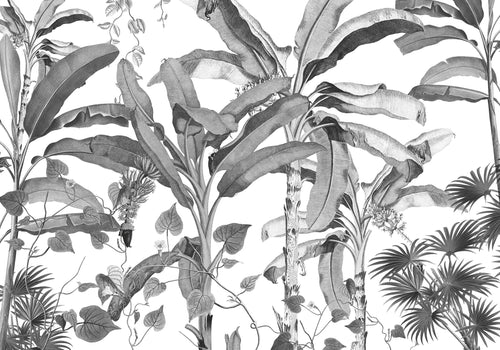 Komar Vlies Fototapete Inx8 082 Croissances Monochrome | Yourdecoration.at