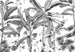 Komar Vlies Fototapete Inx8 082 Croissances Monochrome | Yourdecoration.at