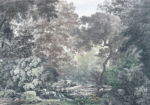 Komar Vlies Fototapete R4 060 Fairytale Forest | Yourdecoration.at