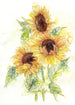 Komar Vlies Fototapete X4 1008 Girasol | Yourdecoration.at