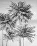 Komar Vlies Fototapete X4 1019 Cocco | Yourdecoration.at