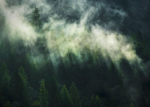 Komar Vlies Fototapete X7 1003 Misty Crowns | Yourdecoration.at