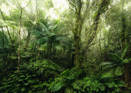 Komar Vlies Fototapete X7 1009 Mindfulness | Yourdecoration.at