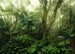 Komar Vlies Fototapete X7 1009 Mindfulness | Yourdecoration.at