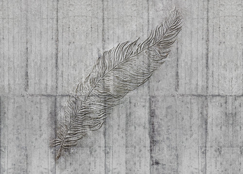Komar Vlies Fototapete X7 1023 Concrete Feather | Yourdecoration.at