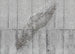 Komar Vlies Fototapete X7 1023 Concrete Feather | Yourdecoration.at