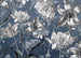 Komar Vlies Fototapete X7 1041 Merian Blue | Yourdecoration.at