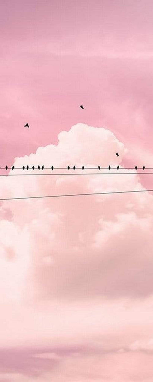 Komar Cloud Wire Vlies Fototapete 100x250cm 1 bahn | Yourdecoration.de