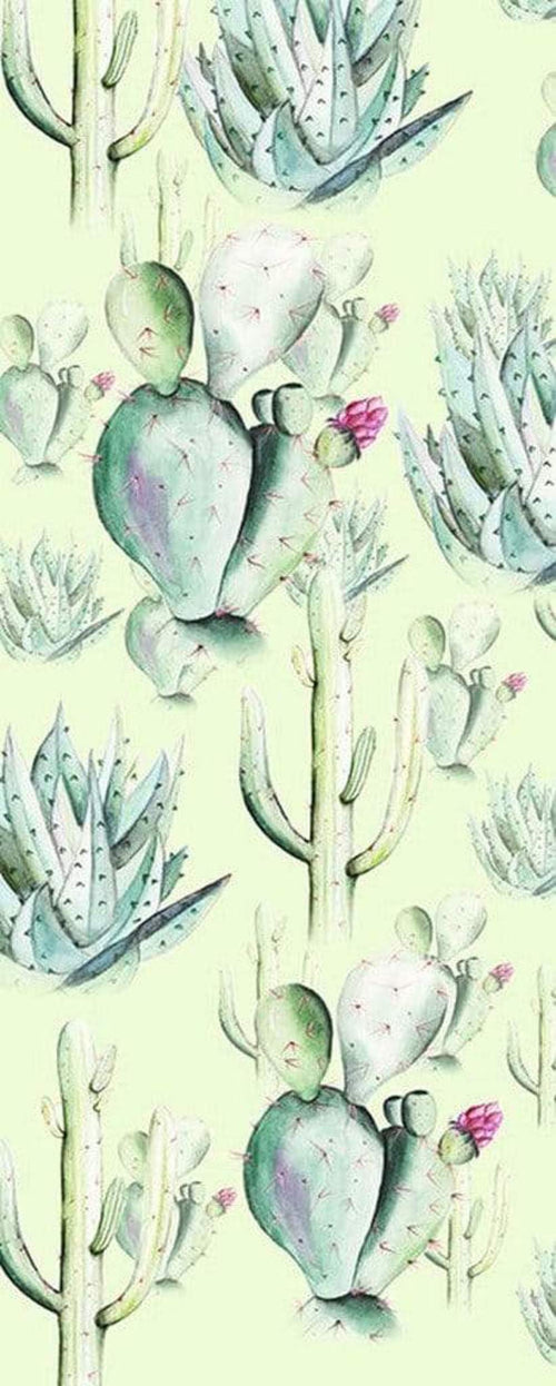 Komar Cactus Green Vlies Fototapete 100x250cm 1 bahn | Yourdecoration.de