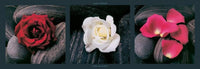 Laurent Pinsard Roses on stones Kunstdruck 95x33cm | Yourdecoration.de