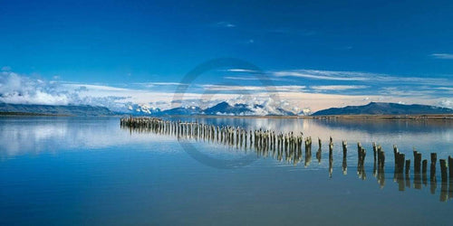 Popp Hackner Kormoräne Kunstdruck 100x50cm | Yourdecoration.de