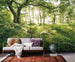 Komar Mystic Path Vlies Fototapete 400x250cm 4 bahnen Sfeer | Yourdecoration.de