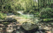 Komar Tranquil Pool Vlies Fototapete 400x250cm 4 bahnen | Yourdecoration.de