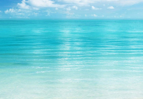 00156 close up The Beach e8ca5c4d a52b 4e28 b95f 8e315fb65d7b | Yourdecoration.de